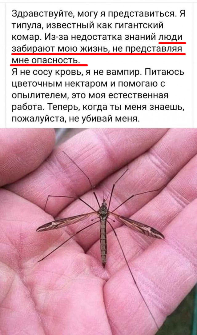 Природа и человек