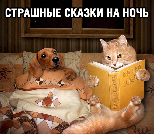 Веселые картинки к пятнице (18.10)