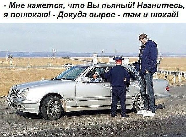 Так себе картинки 12.02.25