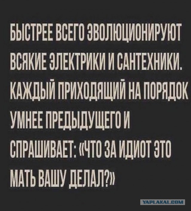 Так себе картинки 12.06.25