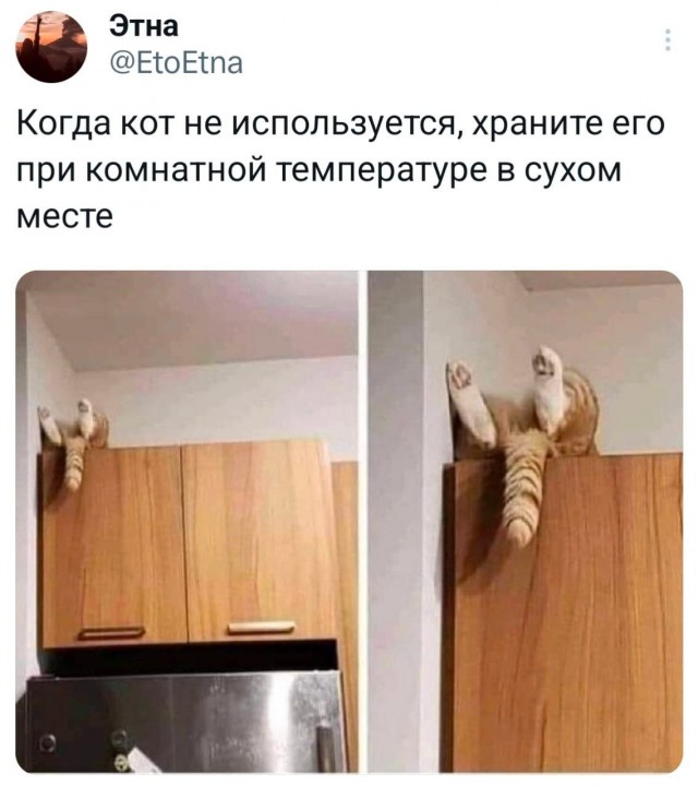 К котовторнику: подборка картинок-баянов с котиками и про котиков. Выпуск 26.