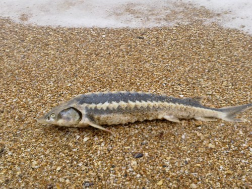 Фотографии из прошлого нашей страны – 125