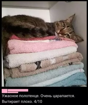 Картиночки, баянчики 06 марта