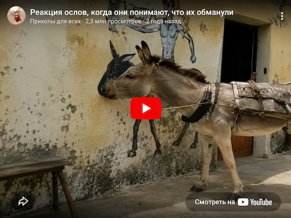 Про ослов