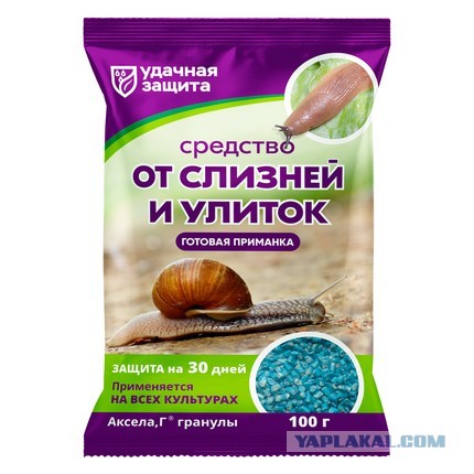 Находка в лесу
