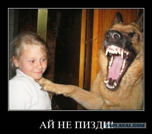 Парень с очень серьезными связями