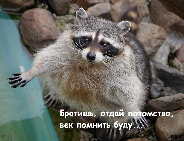 У меня радость!