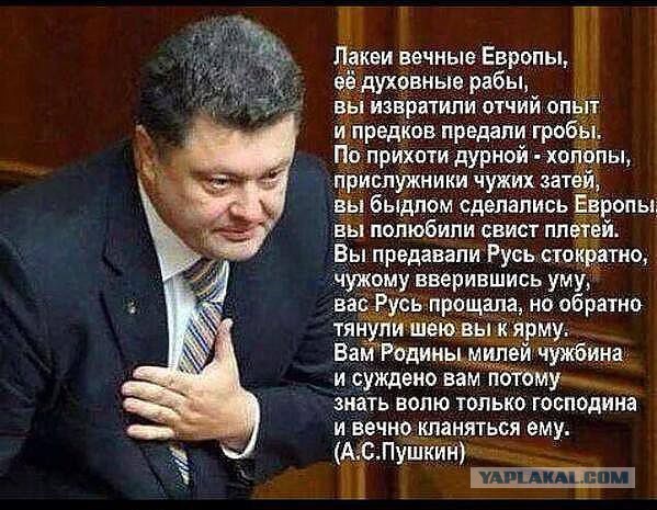 Москва: Про Украинский митинг рядом с посольством