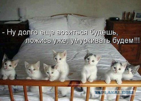 Картинки  разные