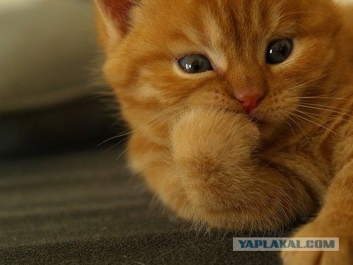 Как скучно я живу