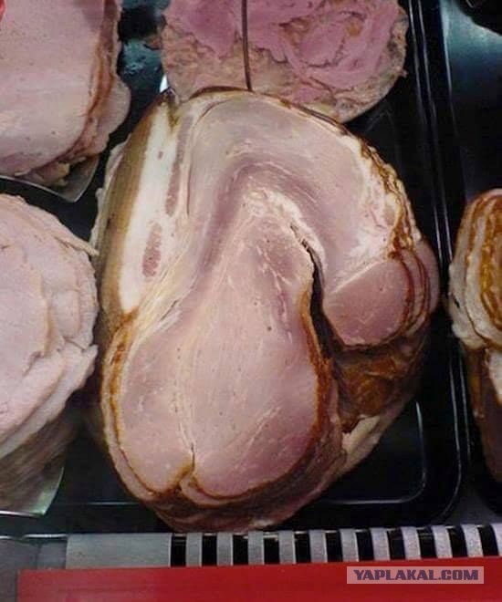 21 доказательство того, что Фрейд был прав