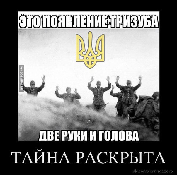 10 политических картинок часть 18