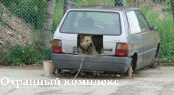 Картинки на пятницу