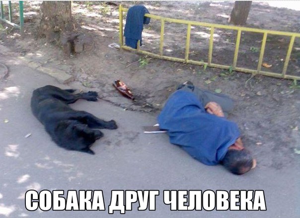 Подборка прикольных фото на пятницу