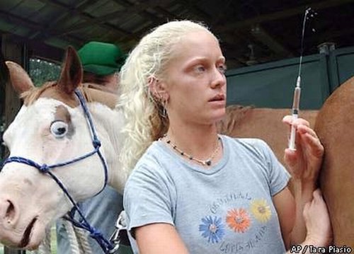 Все о КОНЯХ, ЛОШАДЯХ, ОСЛАХ