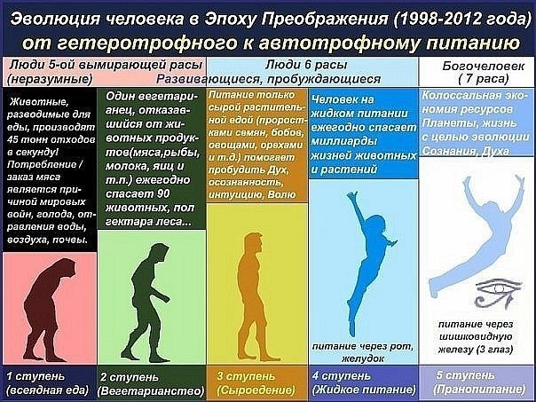 Известные актеры, которые практикуют вегетарианство и веганство