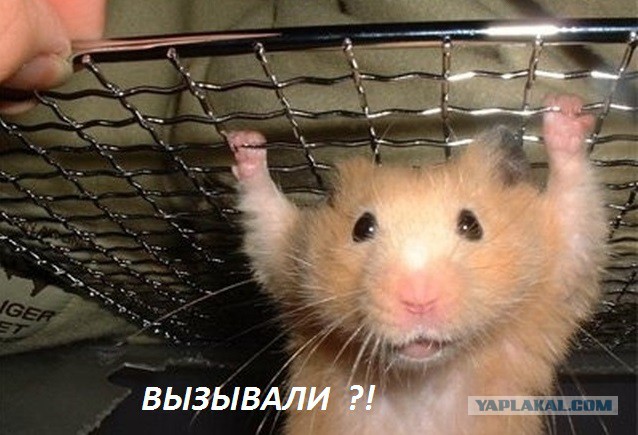 Ученые призвали ВОЗ воздержаться от жесткого контроля электронных сигарет