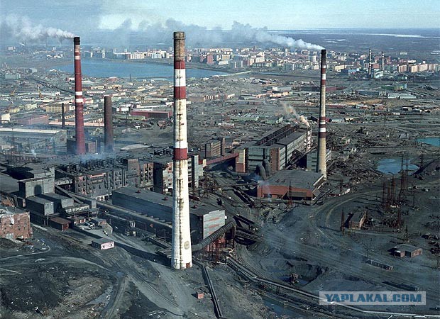Преступный “гражданский активизм”: почему общество поощряет беззаконие?