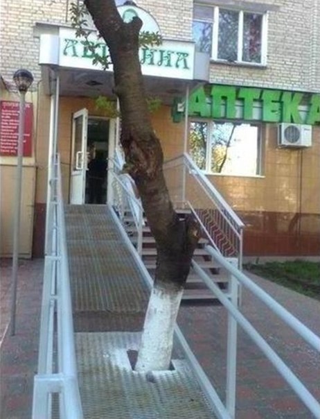 Подборка интересных и веселых картинок