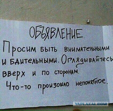 Давно мы не мизантропизировали...