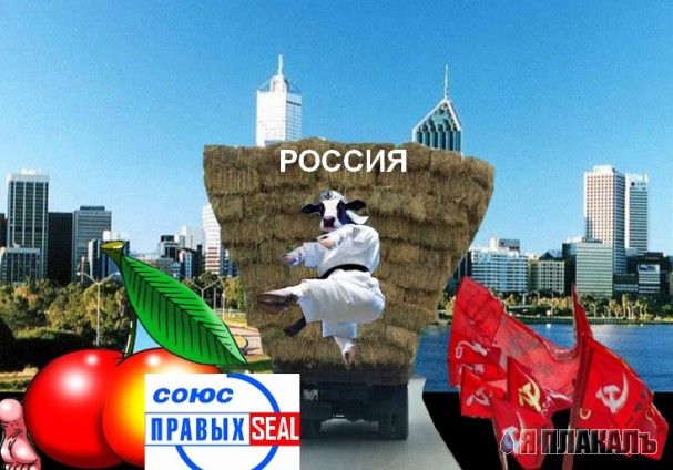 Обнаружен план Путина!