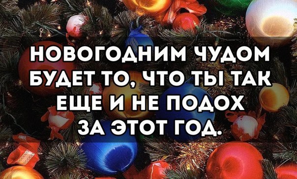 Смешные комментарии из социальных сетей 15.12.2017