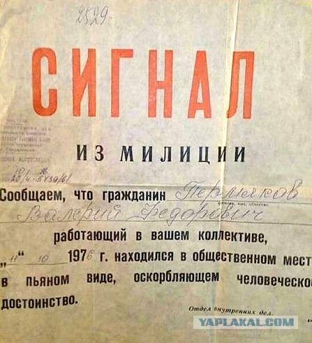 Мне не жалко алкашей
