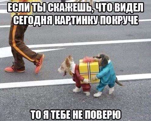 На зарядку позитивом становись!