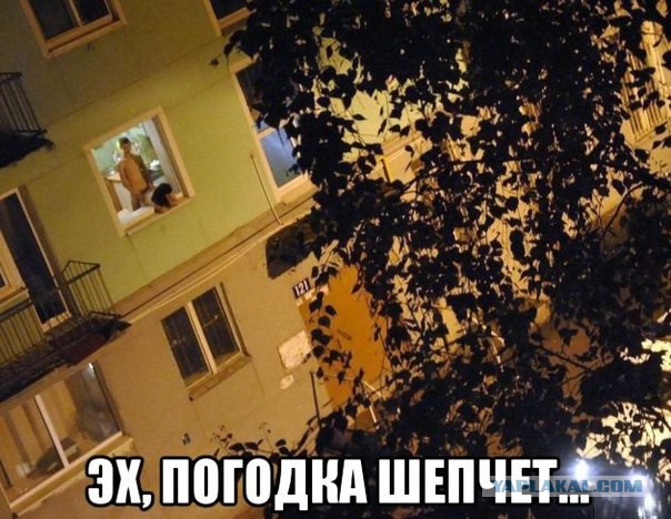 Очень чёрный юмор. Чёрный, как моя душа...