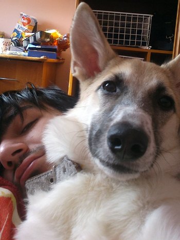 2 года Собаке-терминатору