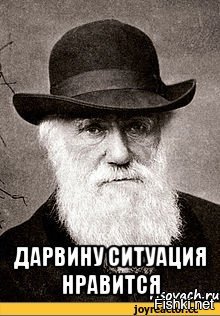На ватрушке со скоростью в 100 км/час