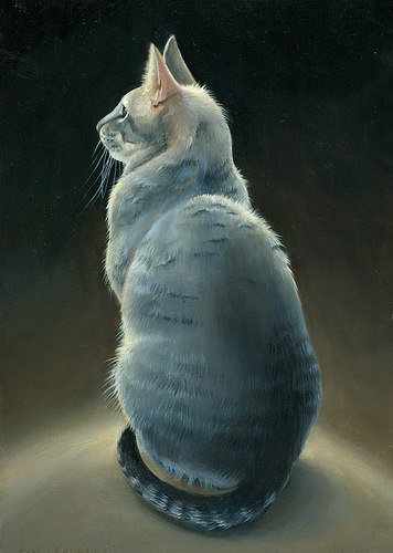 Рисованные киски