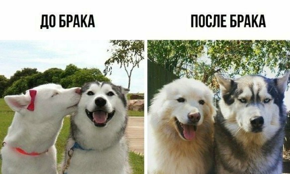 Картинки разные нужны, картинки всякие важны