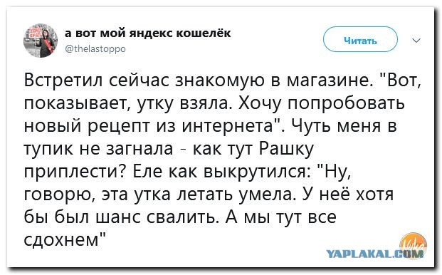 «Союз МС-14» с роботом Федором со второй попытки пристыковался к МКС