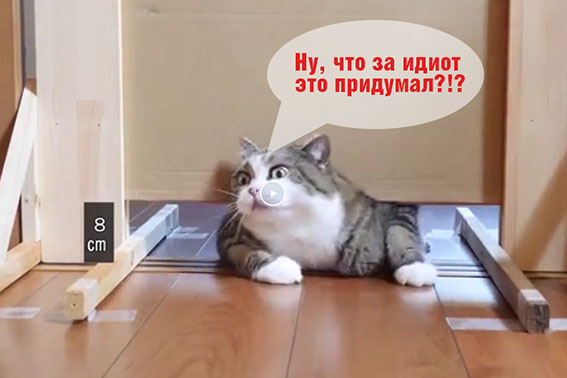 Щелевые испытания