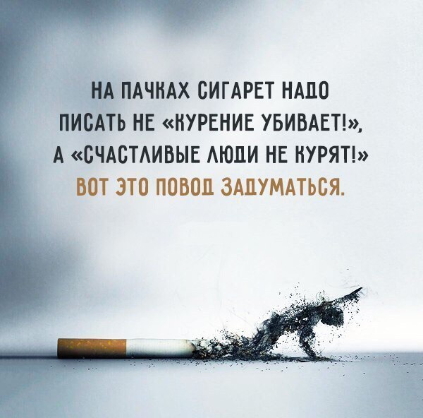 Чуток картинок 15.02.20