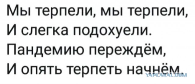 Бредзона 16.04.2020