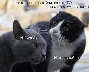 Бредзона 09.05.20