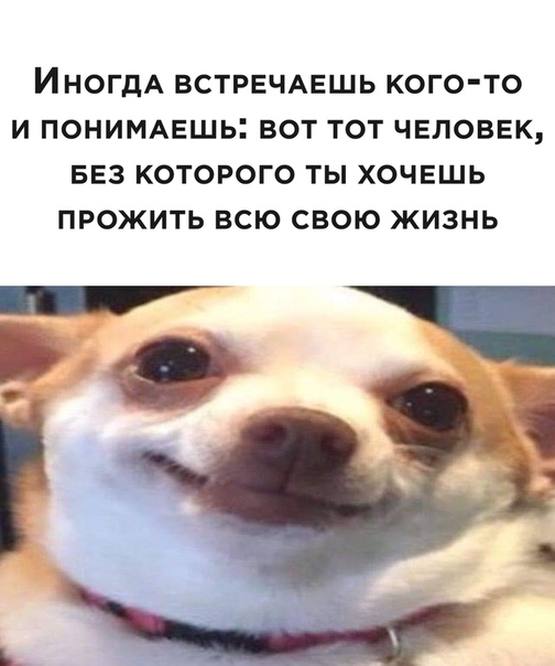 Немного картинок для настроения 115