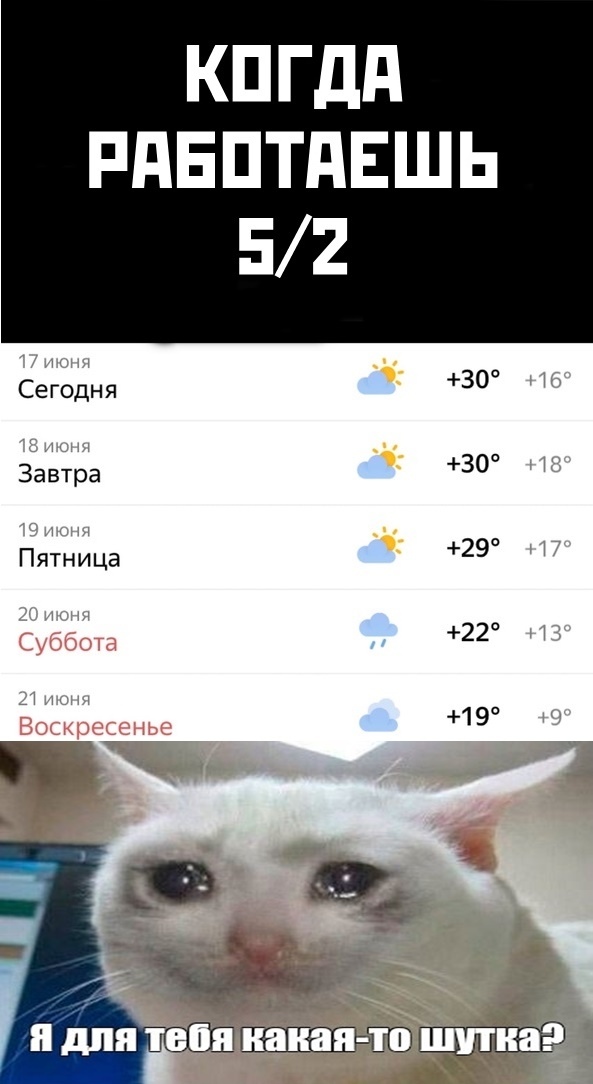 Немного картинок для настроения 20.06.20