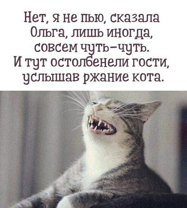 Фотки и картинки: юморные и красивые, забавные и милые 02.11.20