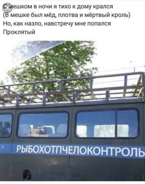 Картинки разнообразные. На злобу дня и на доброту (05.10)