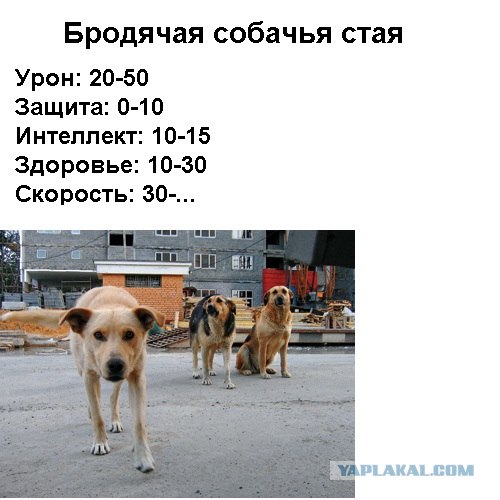 Фотожаба: Новая игра от российских разработчиков
