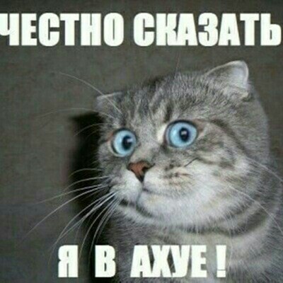 Что тут происходит?