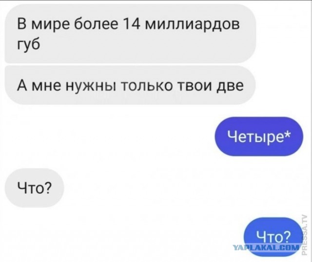 Картинки и мемы для настроения 28.06.2021