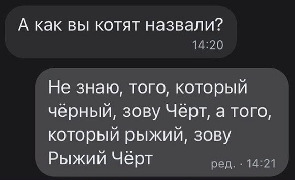 Ночные кретинизмы из сети 20.07.2021