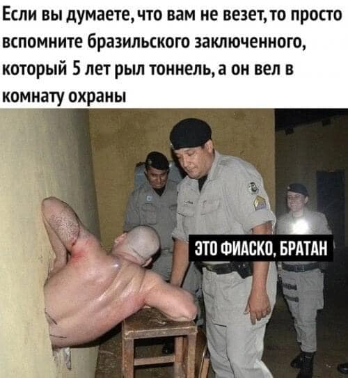 Всяческие картинки 12.01.2022