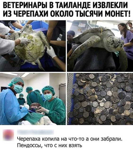 Так себе картинки 29.04.22