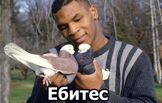 Девушкам пофиг на секс? Миф!