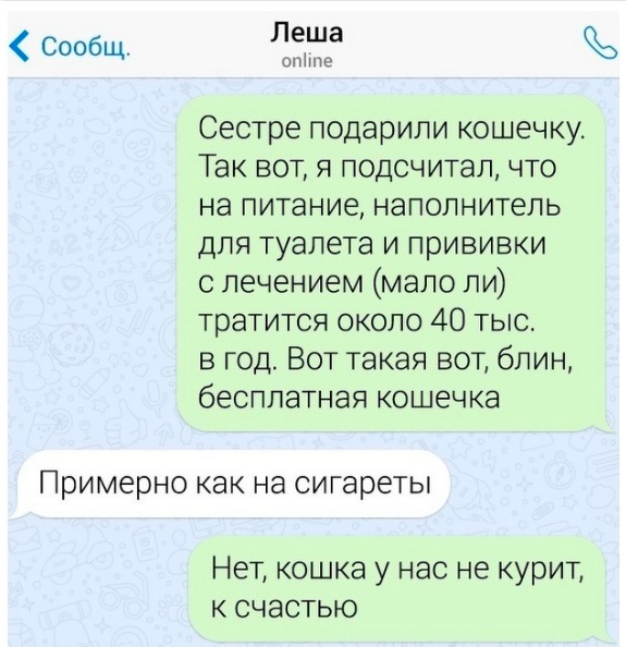 Так себе картинки 27.11.22